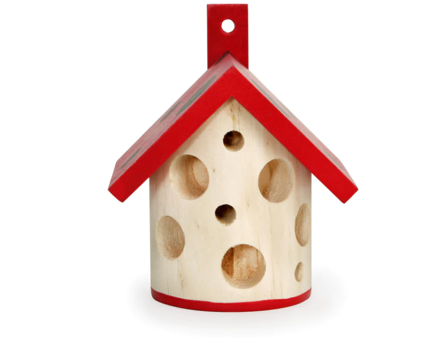 Ladybug House