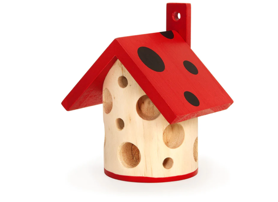 Ladybug House