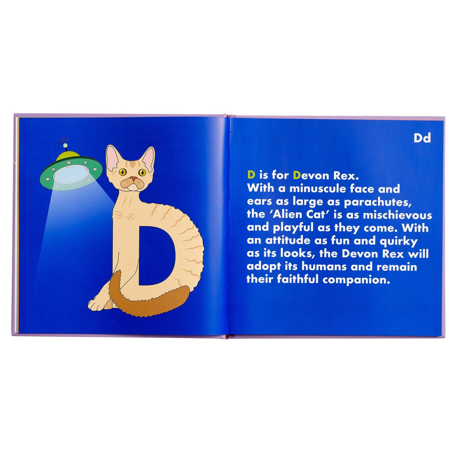 Cat Alphabet Book
