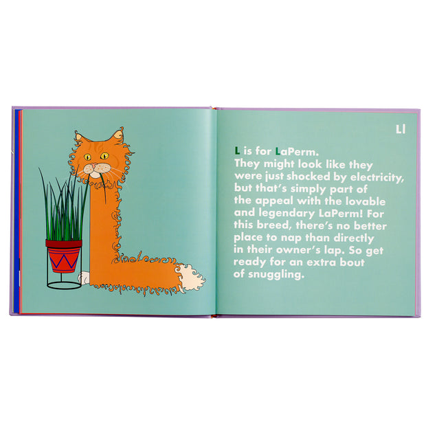 Cat Alphabet Book