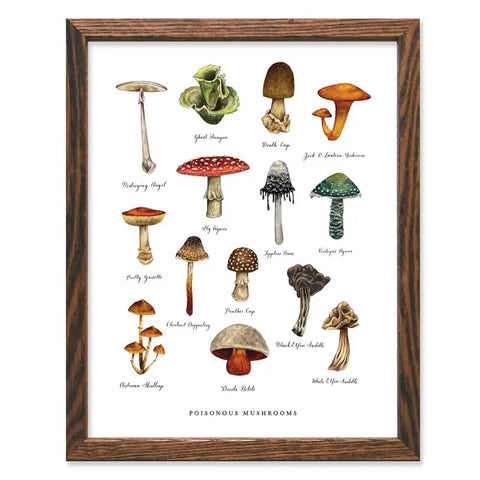 Poisonous Mushrooms Art Print