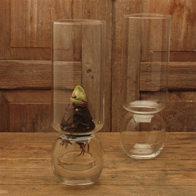 Clear Bulb Vase