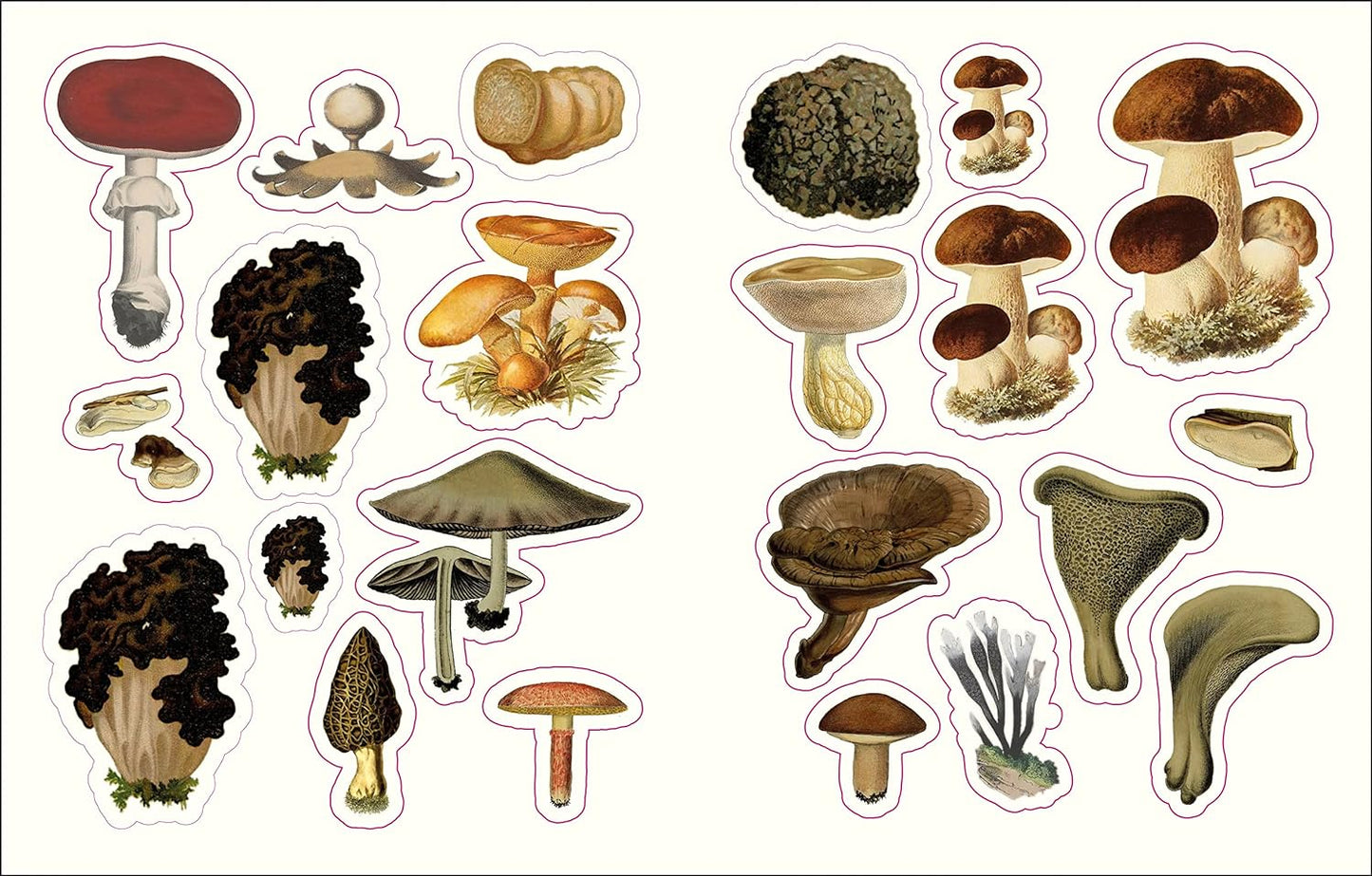 The Forests, Fairies, & Fungi Sticker Anthology