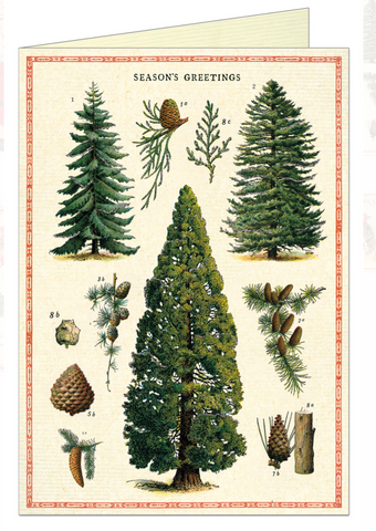 Christmas Trees Greeting Card