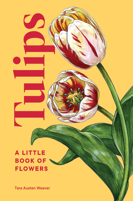 Tulips - A Little Book of Flowers
