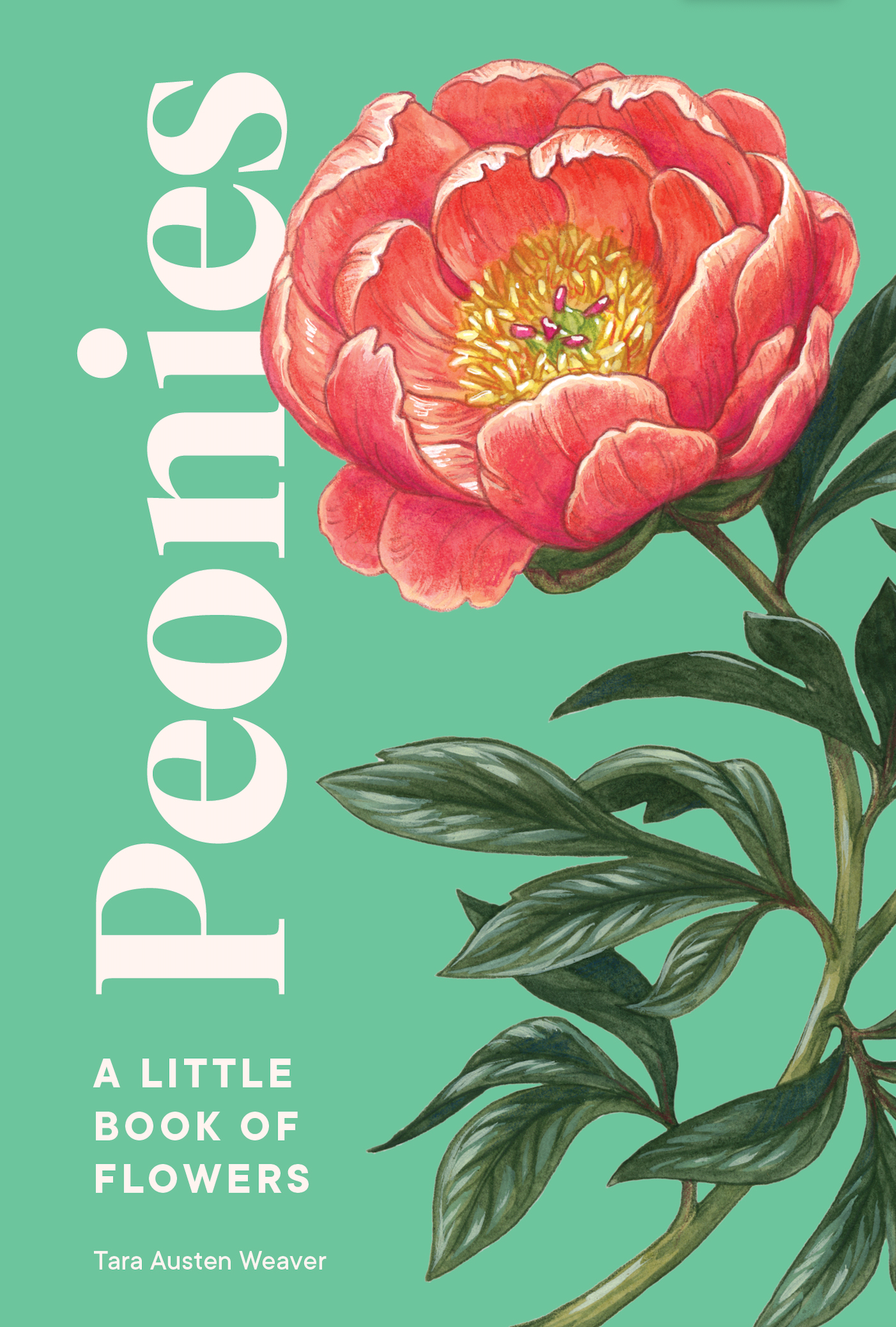 Peonies - A Little Book of Flowers