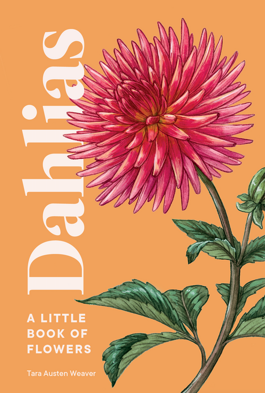 Dahlia - A Little Book of Flowers