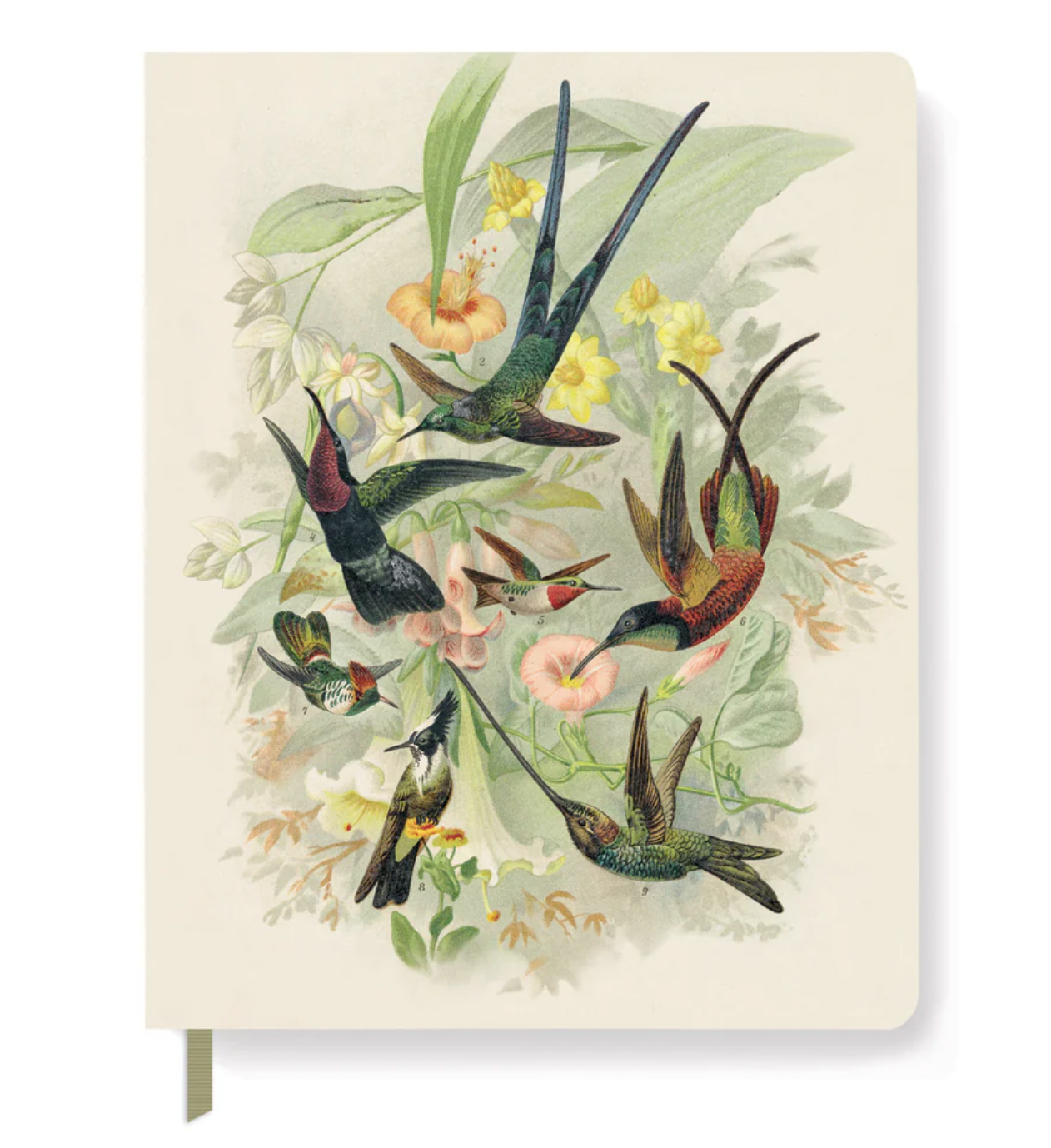 Hummingbirds Large Paperback Journal