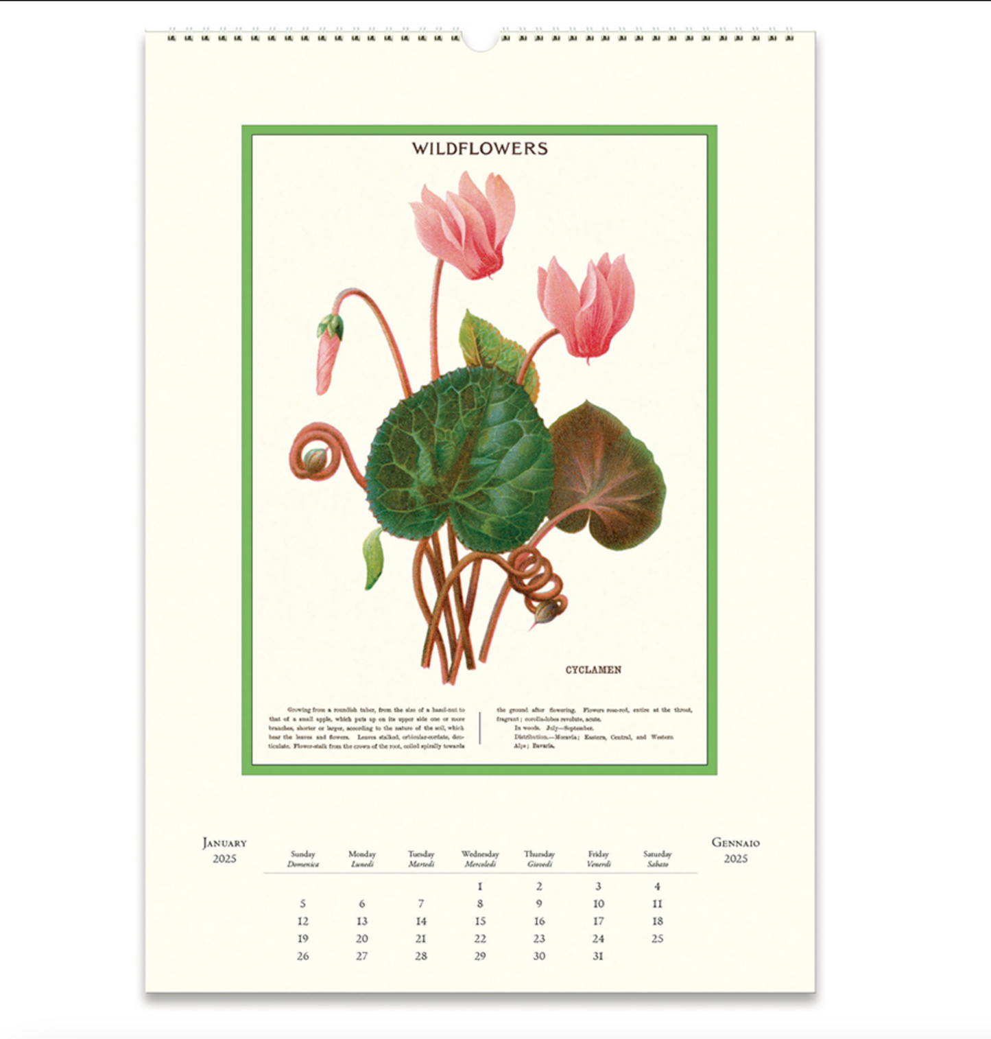 Wildflowers 2025 Wall Calendar