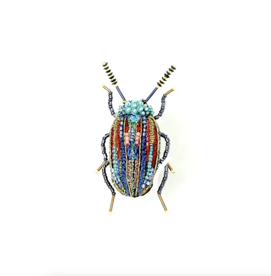 Snowdon Beetle Brooch Pin