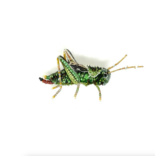 Two Striped Grasshopper Brooch Pin