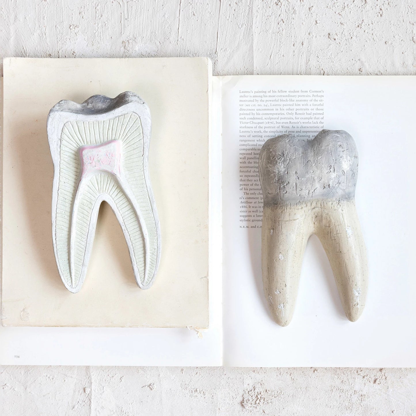 Vintage Cement Teeth (set of 2)