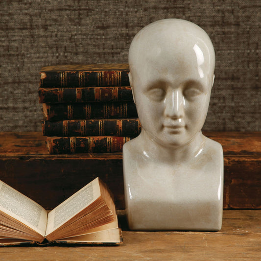 Large Phrenology Head