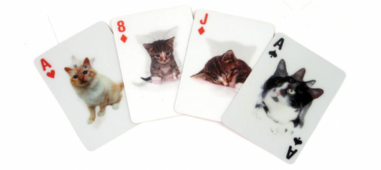 3D Animal Playing Cards