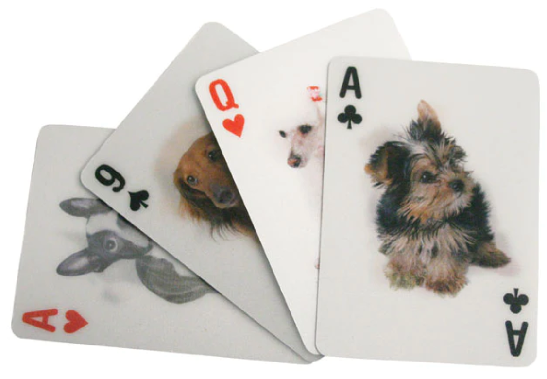 3D Animal Playing Cards